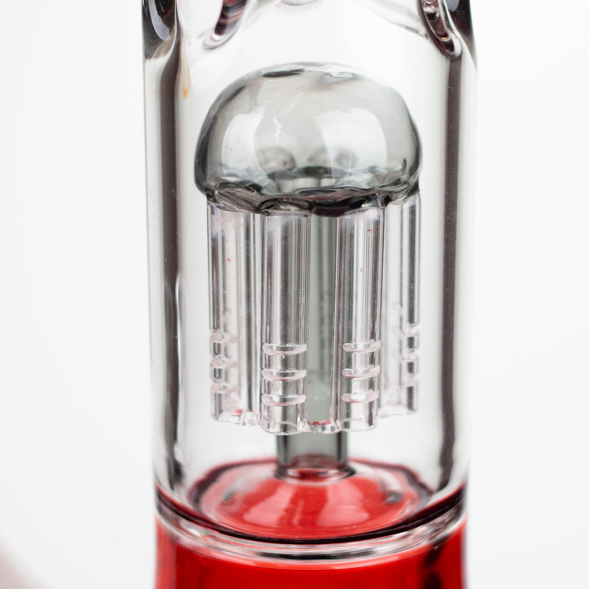 Infyniti Untamed Bong en verre de 14" avec percolateur Tiger Tree