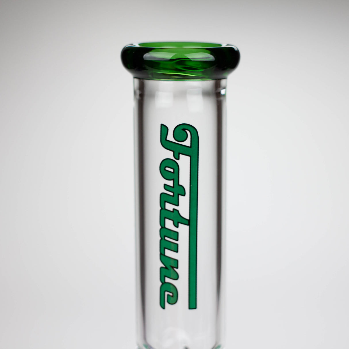 Fortune 10" Colour Accent 4mm Ice Catcher Beaker Bong