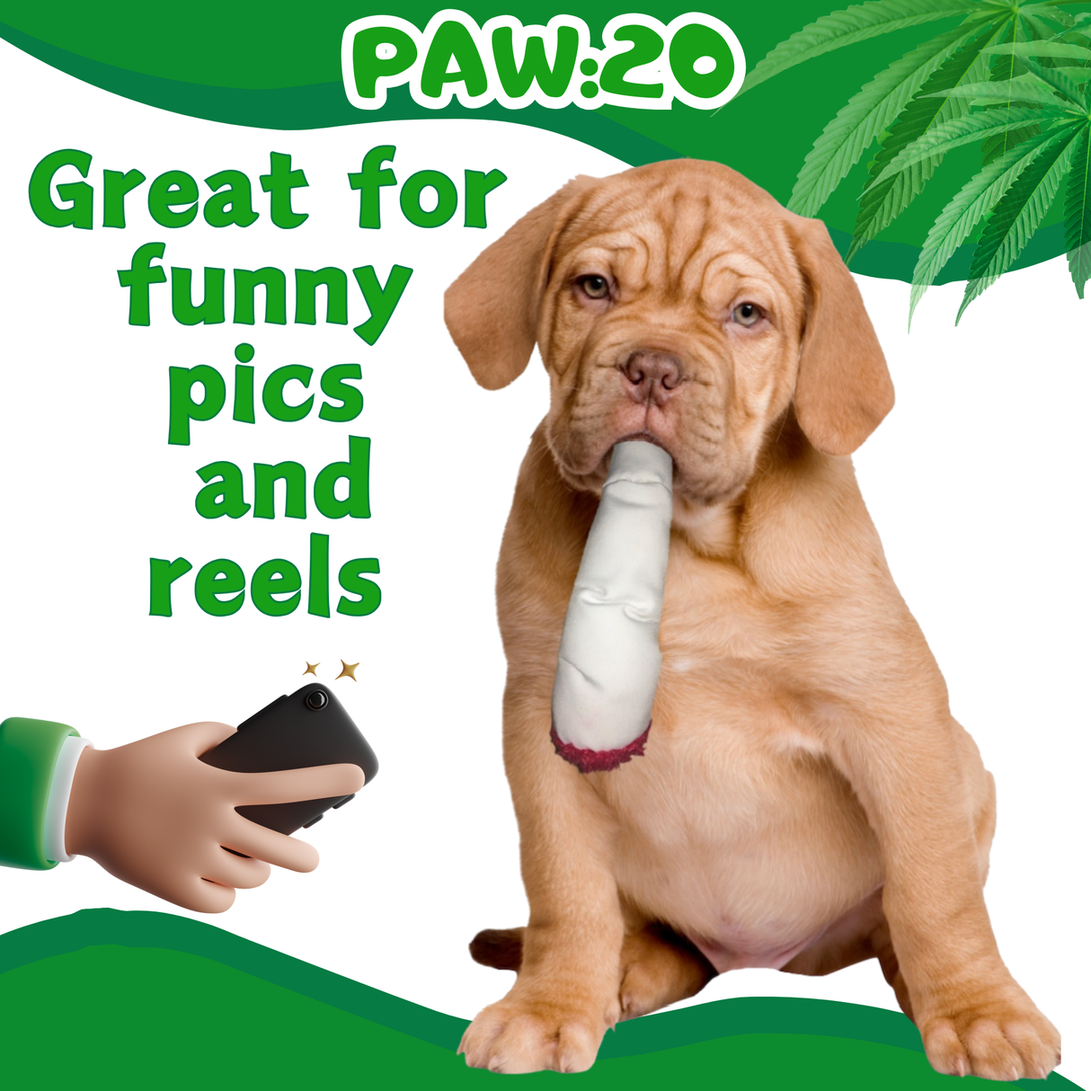 Jay the Joint - Parody Squeaky Dog Toy - 7"