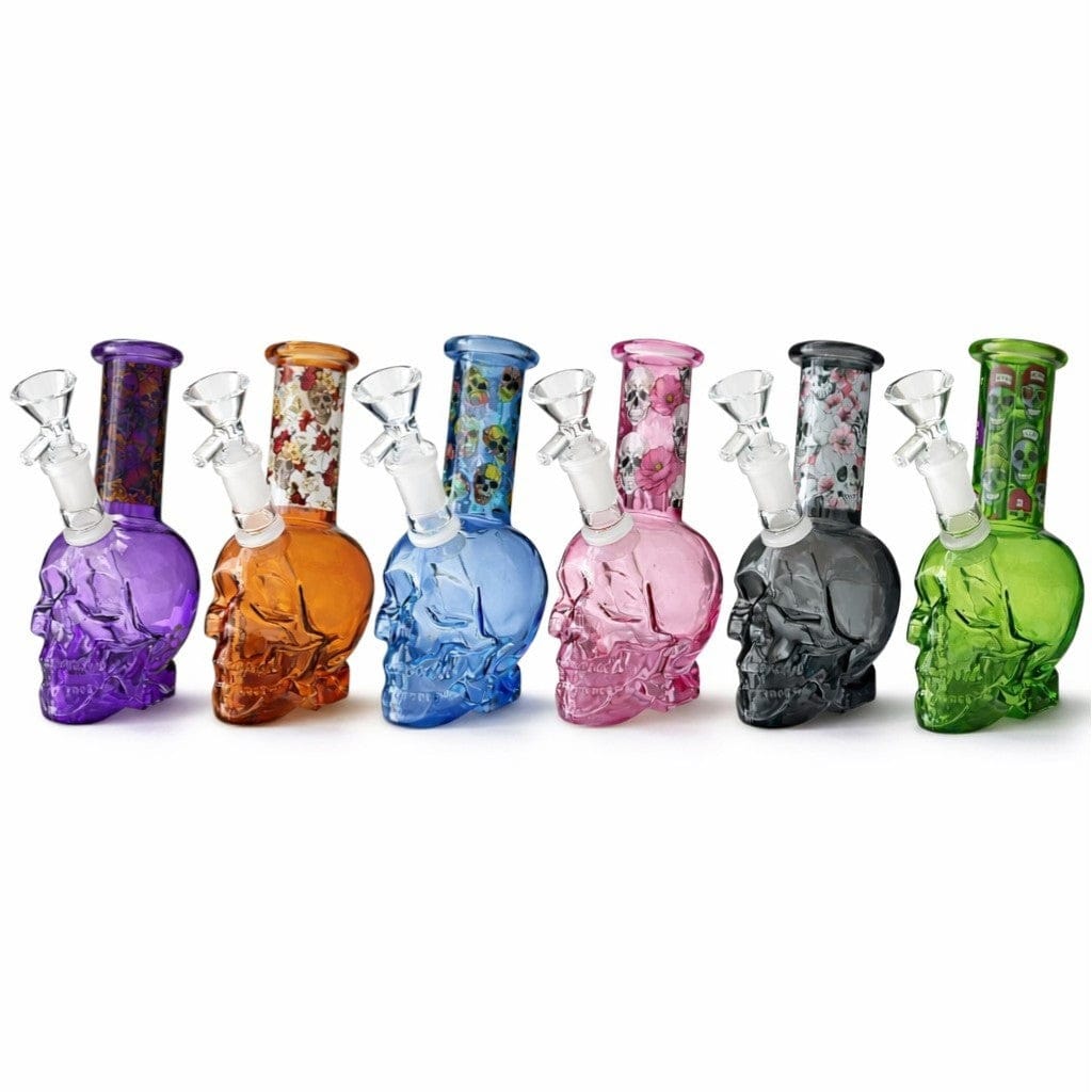 Super Supplys Inc Bundle 6 PCS Skull Gift Set 6 PCS Skull Gift Set