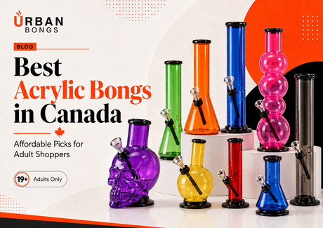 10 Best Acrylic Bongs in Canada: Affordable & Durable Picks