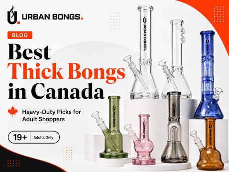 10 Best Thick Bongs in Canada: 7 mm & 9 mm Glass Picks