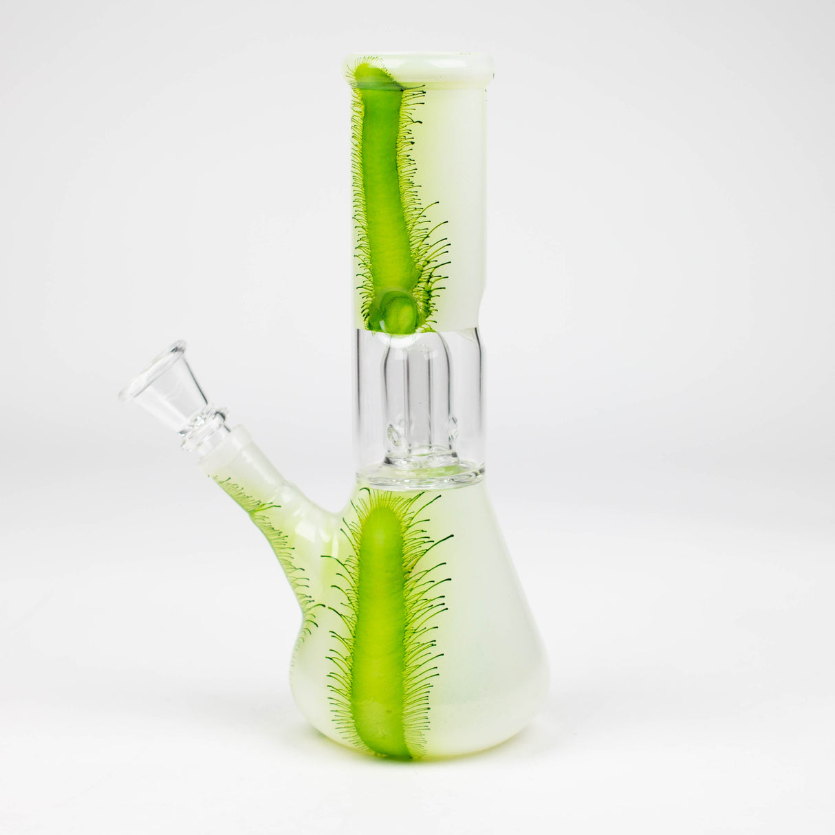 8" Assorted Single Dome Perc Beaker Bong
