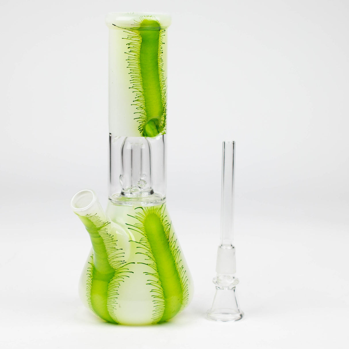 8" Assorted Single Dome Perc Beaker Bong