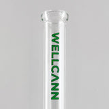 Wellcann | 10" 5mm Beaker Accent Glass Bong