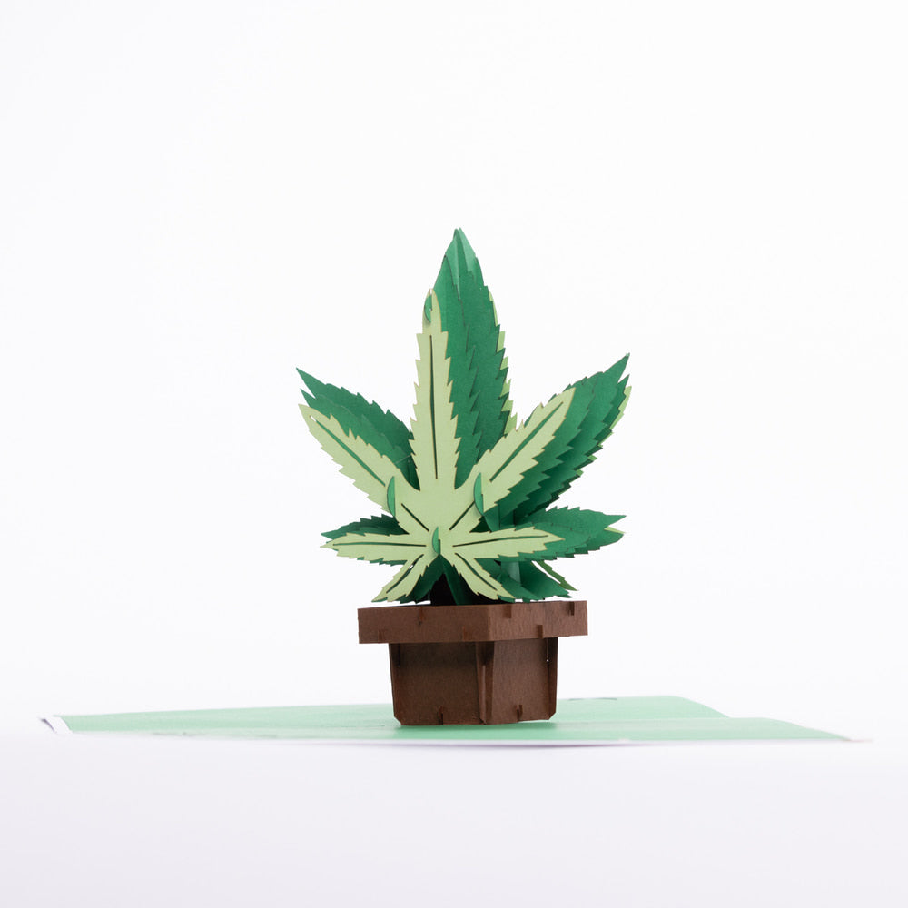 Intricate Greetings Cannabis Leaf 3D Pop-Up Card