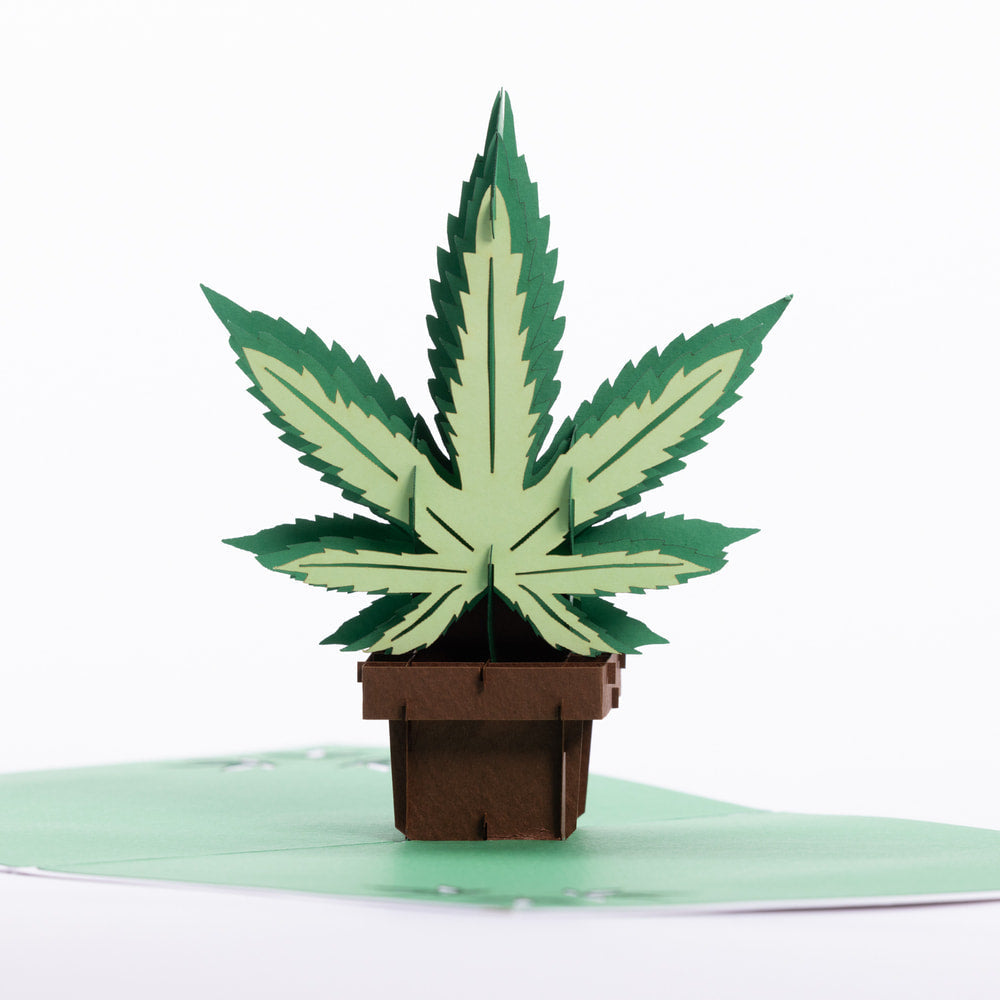Intricate Greetings Cannabis Leaf 3D Pop-Up Card